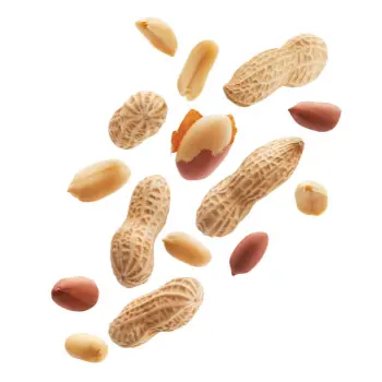 Natural Groundnut Seeds